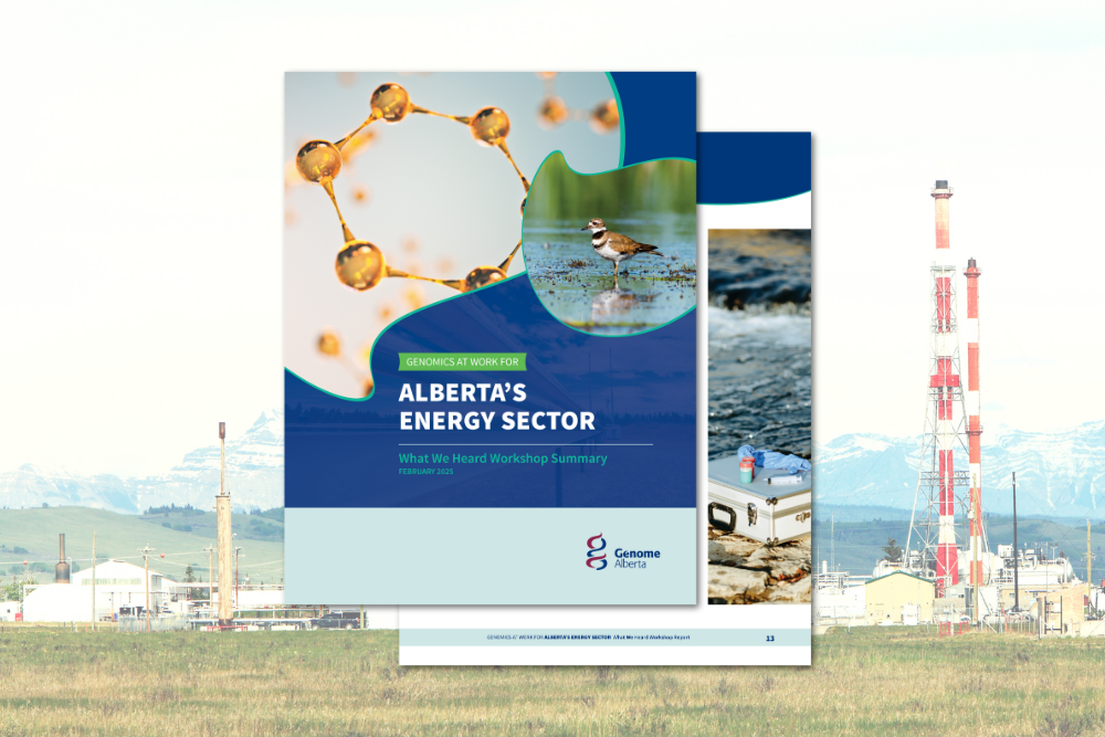 WWH Report Cover for Alberta's Energy Sector